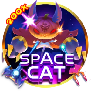 Combat Sports Betting